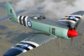 开云体育APP下载-国足惜败出局亚洲杯，国足惜败出局亚洲杯了吗