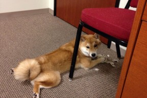 开云网页版-五大联赛是否引入节奏识别辅助决策系统提升战术反应