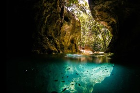 Kaiyun(中国)开云-中国足球是否重视对外籍教练的本土化管理，中国足球队聘请外国教练