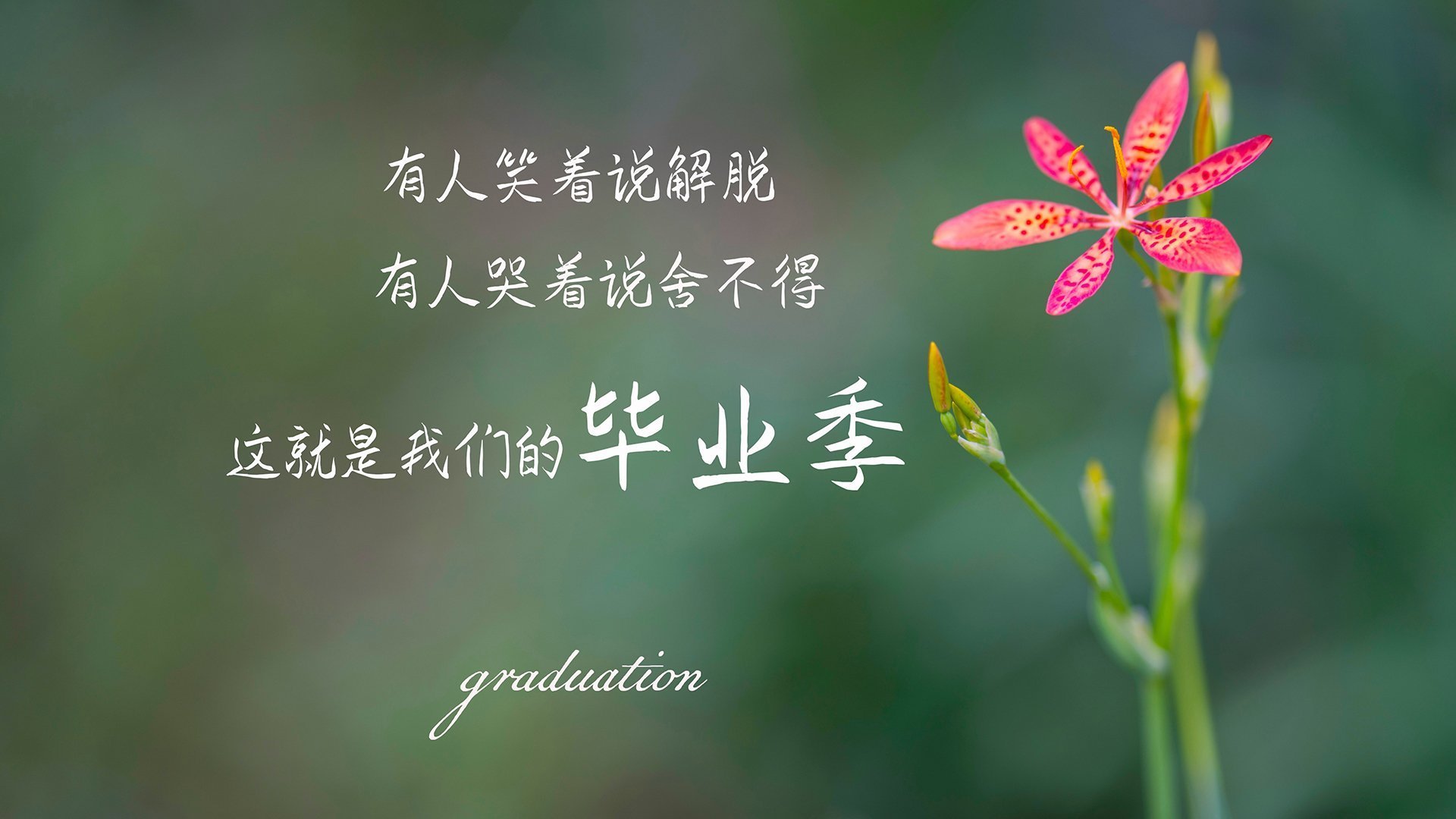 体育赛事安全风险管理，体育赛事风险类型及防控措施