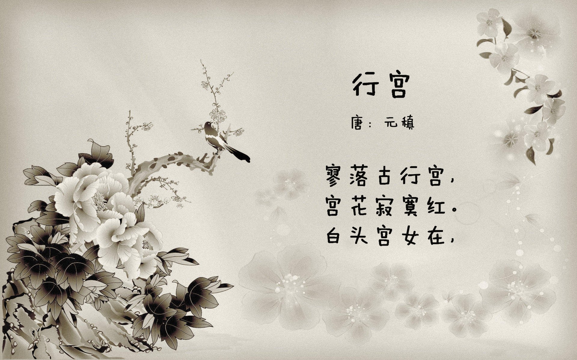 英超双雄对决：曼联VS切尔西，赛季关键战役，曼联和切尔西的最新比赛预测