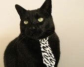 高校体育教师信息化教学应用研究,体育教师个人信息化教学能力现状