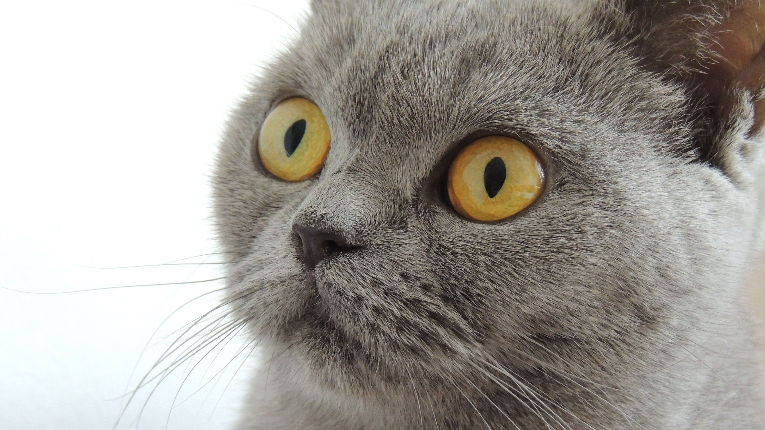 体育文化课成为多所高校通识选修课,体育专业选修课