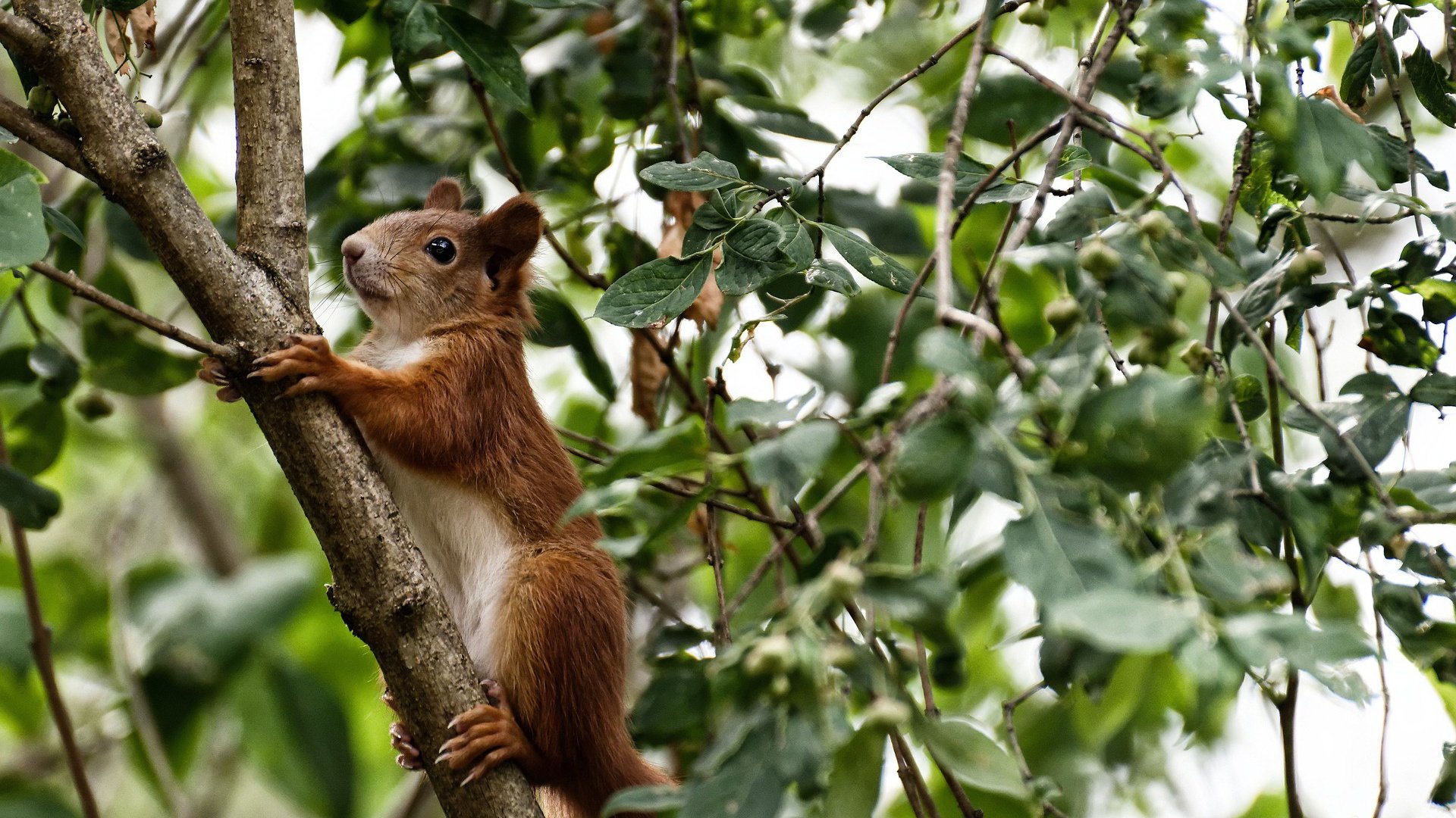 体育新闻中心推动全民健身专题栏目品牌建设,体育局全民健身宣传