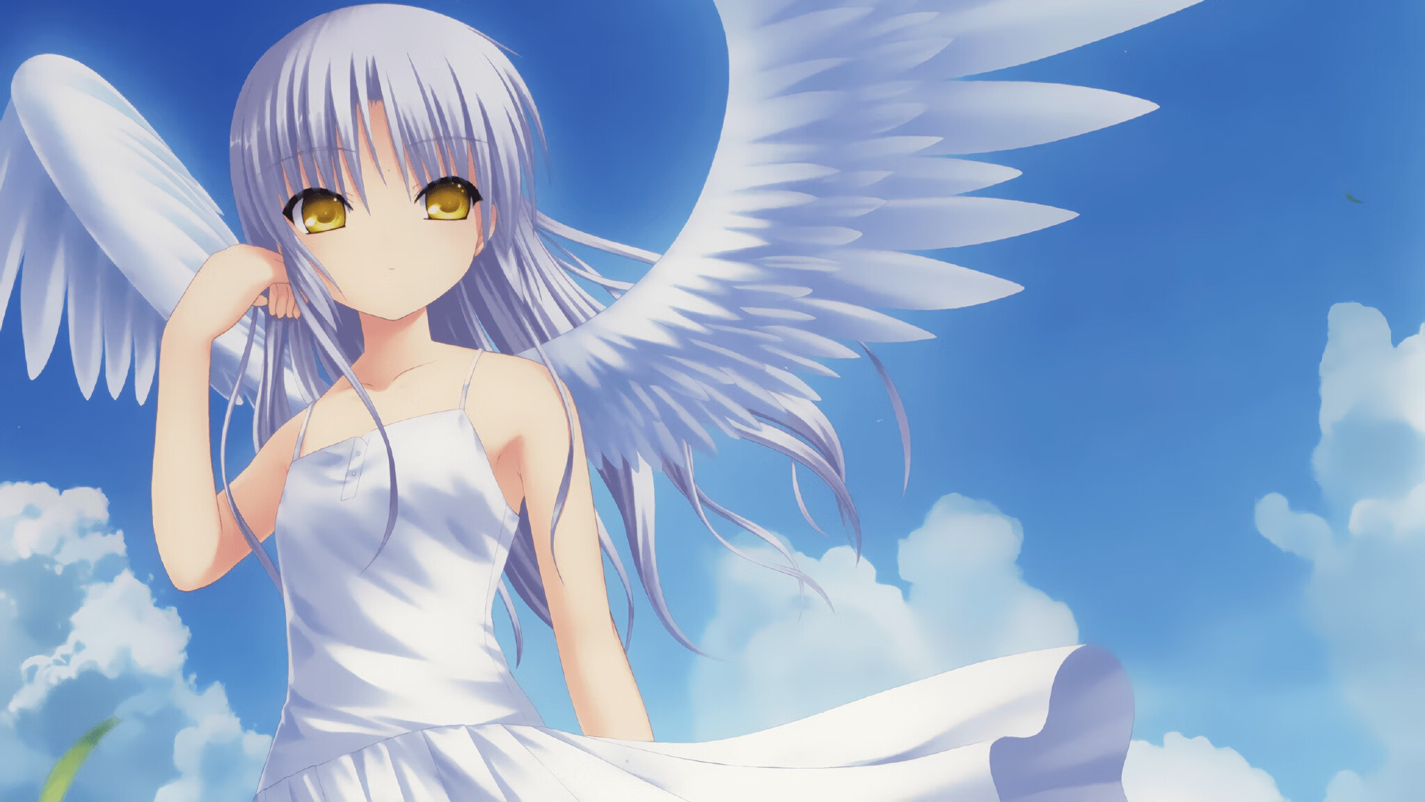 体育新闻中心推动全民健身专题栏目品牌建设,体育局全民健身宣传