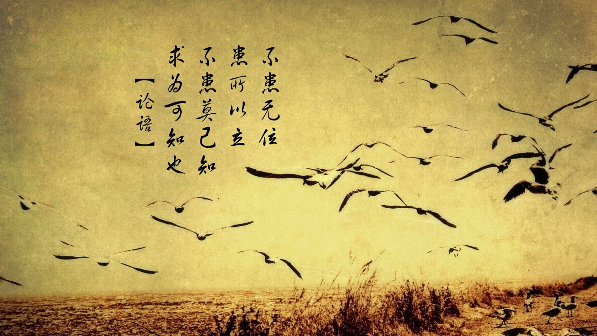 俱乐部训练基地标准化改革正式启动,俱乐部训练计划