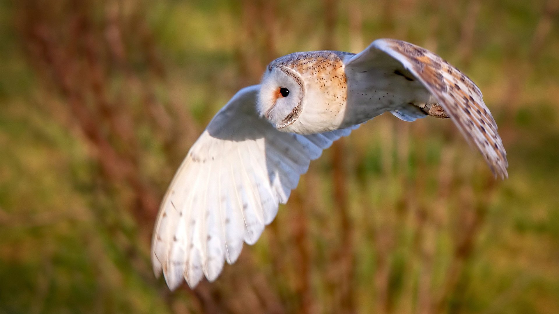 男子项目团体氛围良好，男子团体几个项目
