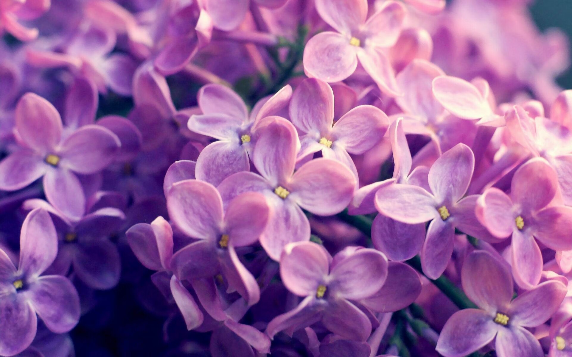 美选手滑行占比更高,中国更依赖划频,美国滑手nyjah