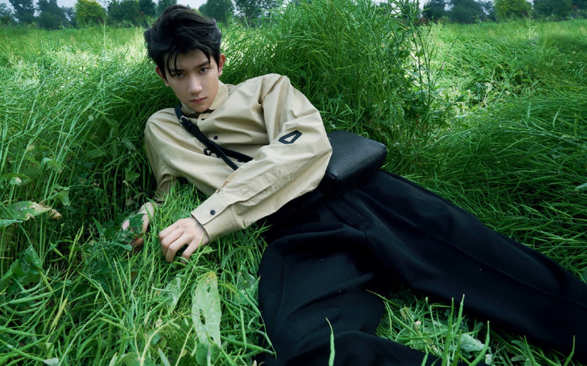 职业联赛人才培养机制缺失,职业联赛需要学历吗