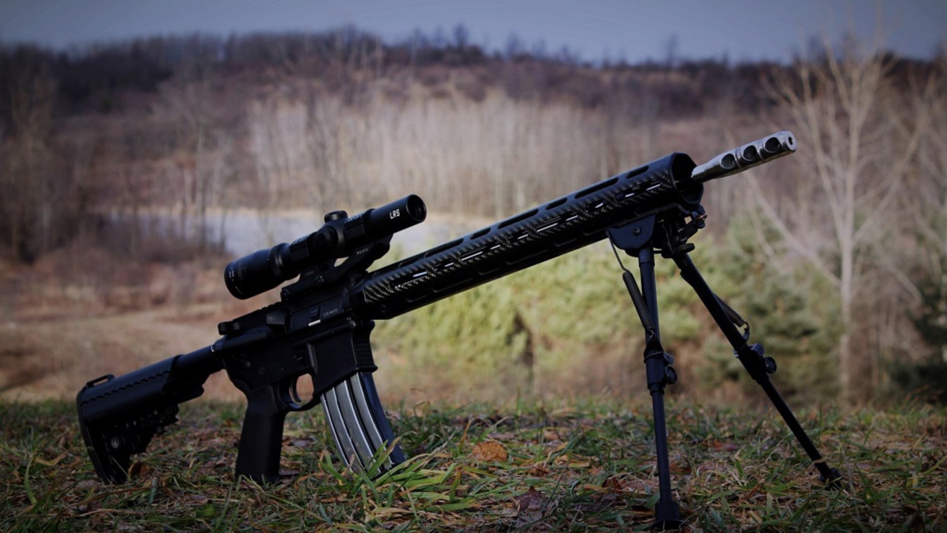 公牛新晋球员适应良好有望进入核心阵容,公牛近况