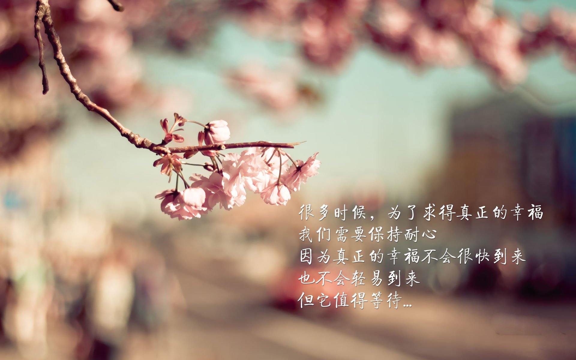 凯尔特人小前锋在训练中完成高难度突破,凯尔特人小后卫