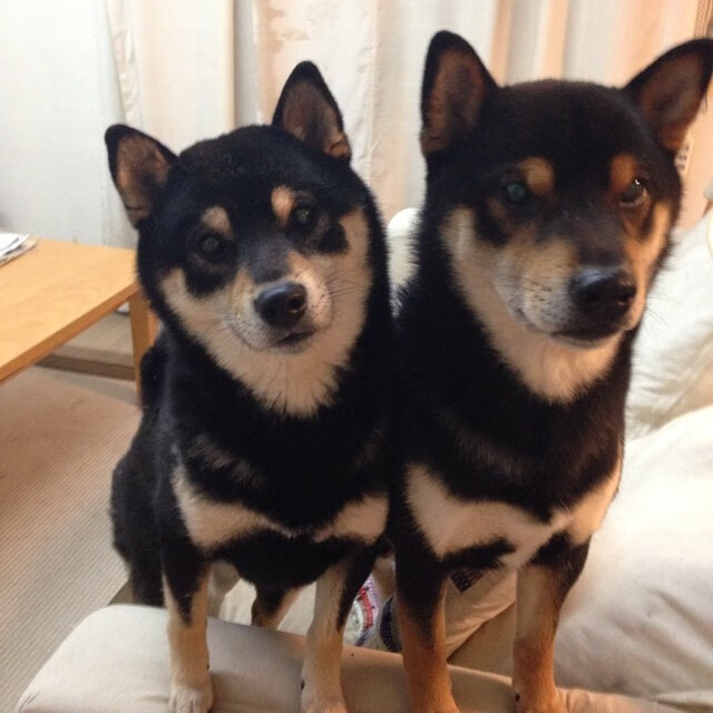 柯尔赞突破极限迎接新挑战,科尔阿赞