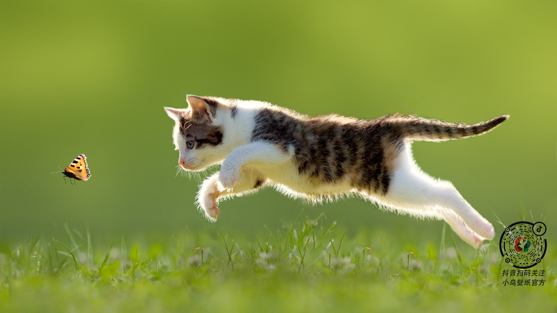 沉浸式多角度直播技术成为未来趋势,带来极致观赛体验,沉浸式节目