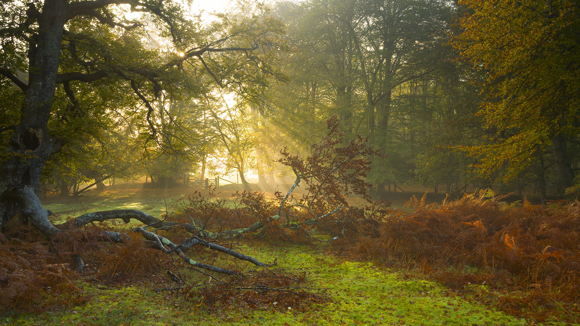 足球世界杯备战动态追踪，世界杯足球预测