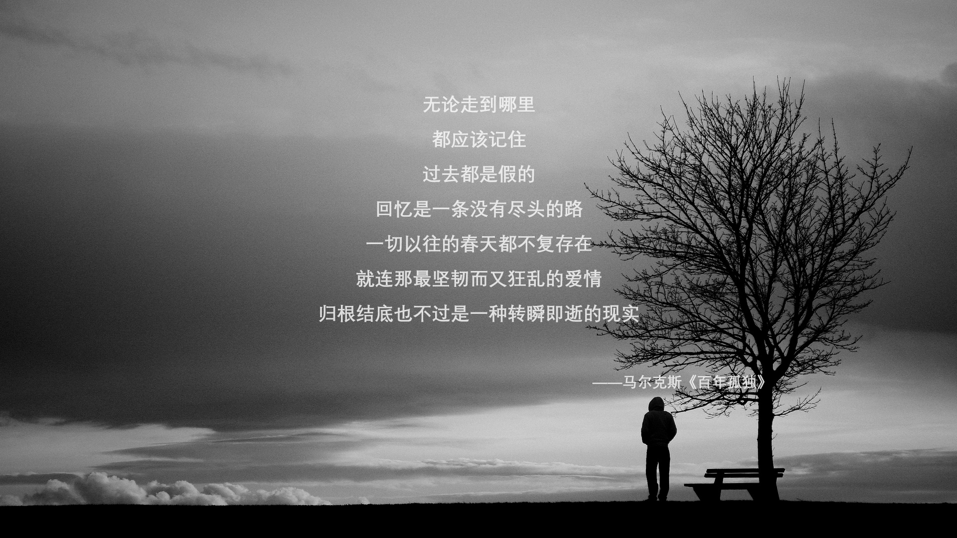 足球青训项目纳入地方财政支持体系稳定发展基础,足球青训政策