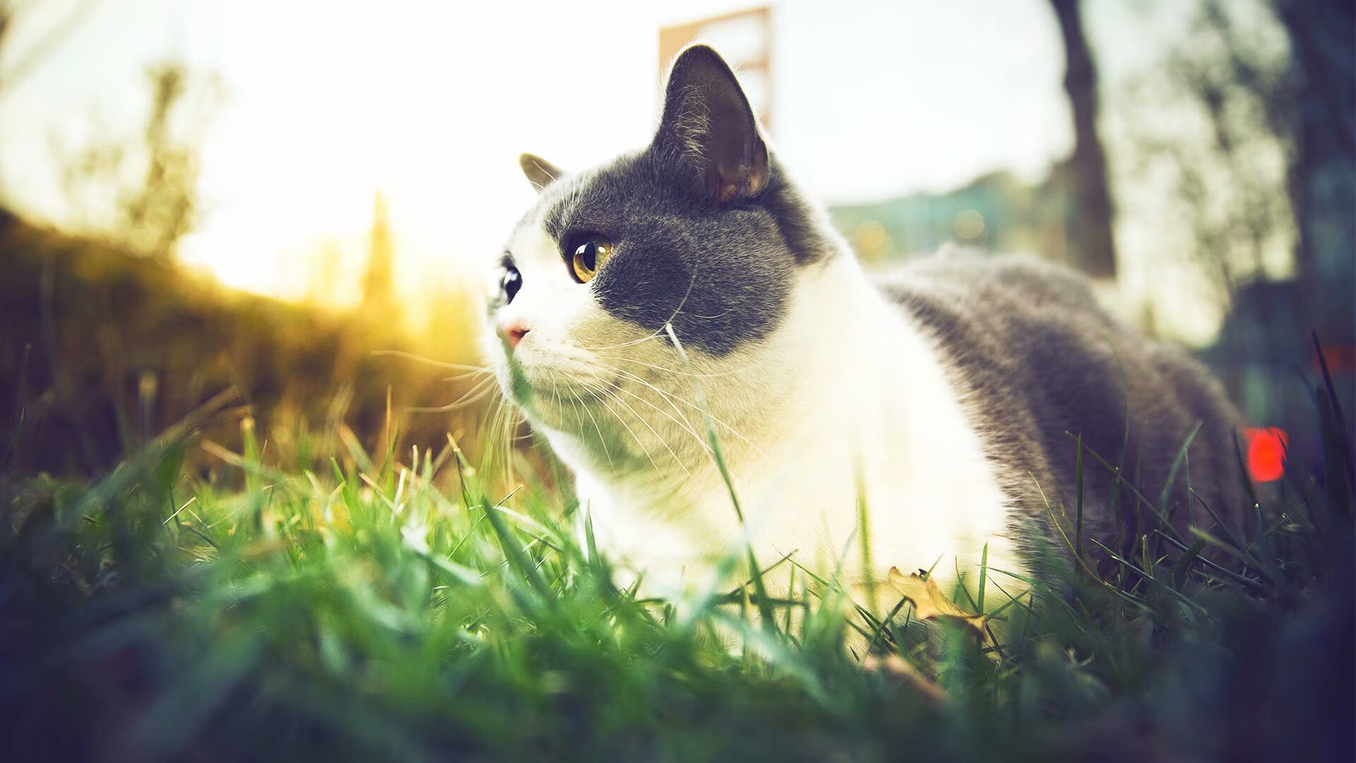 中国足球联赛加强技术统计标准化管理体系建设，国足比赛技术统计